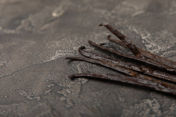 Vanilla pods on a textured background. Vanilla flowers and seeds. vanilla stick bean. Aromatic spicy spice for pastries and desserts. Seasoning. Space for text. Copy Space