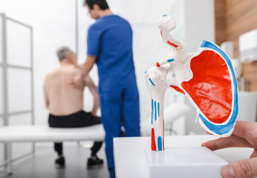 Anatomical model of the shoulder standing on orthopedist table in medical office during consultation of senior man with shoulder arthritis. Treatment of arthritis and arthrosis