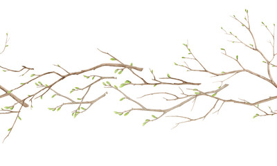 Tree branches with green spring buds. Watercolor digital illustration. Young twigs on seamless pattern isolated on white background. Horizontal border for cards, greetings, kitchen and Easter theme.