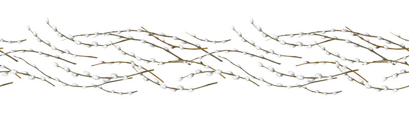 Willow branches with small fluffy buds and spring twigs with green leaves seamless border. Watercolor illustration in digital format. Traditional symbol of Easter holiday, isolated on white background