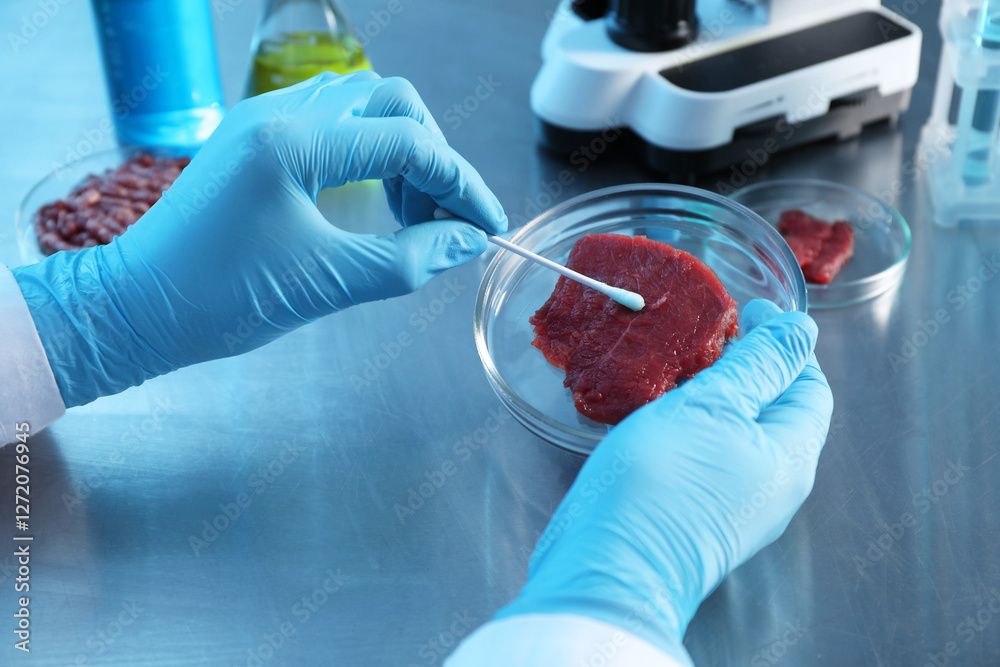 Wall mural GMO concept. Scientist with swab and piece of meat at table in laboratory, closeup