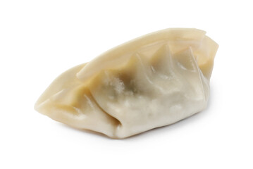 One fresh gyoza dumpling isolated on white