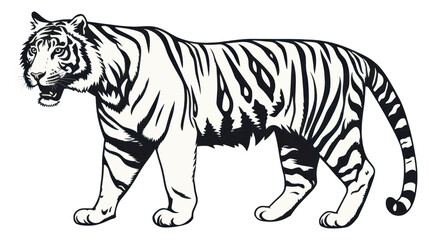 Fototapeta premium PNG Tiger wildlife animal mammal.