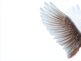 Naklejka premium Unveiling the Link Between Spirituality and Creativity: How Angelic Representation Inspires Personal Growth and Artistic Expression