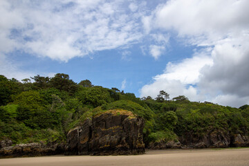 tropical beach with palm trees