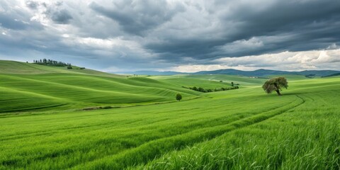 Fototapeta premium Emerald green grass field with subtle ripples and gentle hills, green fields, outdoor stadium