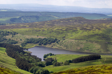 landscape with river