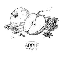 Apple and cinnamon vector drawing. Fruit and spices sketch. Whole and sliced apple, cinnamon sticks, cloves, star anise.