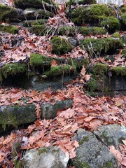 Moss Rocks