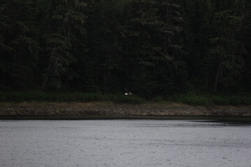 Kitimat B.C. Area Scenery