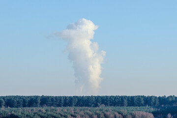 smoke coming from forest