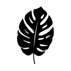 Vector art of monstera leaf silhouette isolated on white background, a tropical plant vector illustration for botanical design and decoration