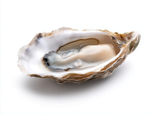 Exploring the Natural Elegance of Oysters: A Close-Up Look at Their Unique Textured Shells and Glistening Meat, Celebrating the Wonders of Marine Life