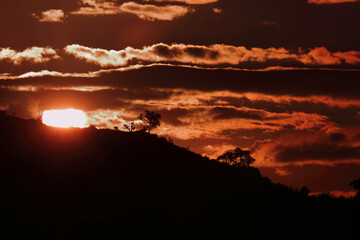 Sonnenuntergang - Krüger Park - Südafrika / Sundown - Kruger Park - South Africa /