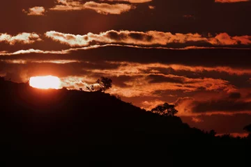 Selbstklebende Fototapeten Sonnenuntergang - Krüger Park - Südafrika / Sundown - Kruger Park - South Africa / © Ludwig