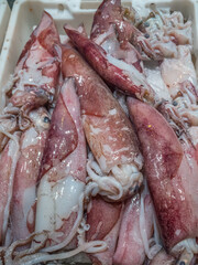 Fresh squids on a local food market, Murci, Spain