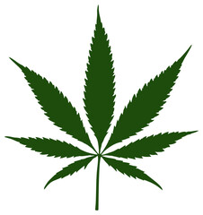 Marijuana leaf