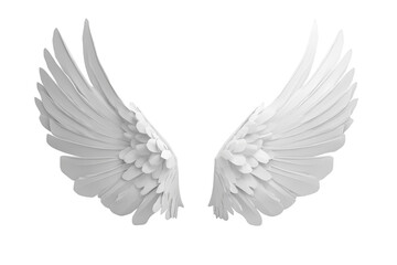 Obraz premium Elegant white angel wings with smooth layered feathers isolated on transparent background