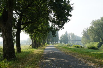 Silesia lakes relax summer day chill
