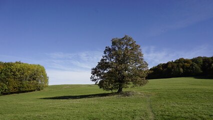 White carpathians moravia