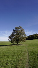 White carpathians moravia