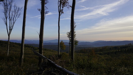 White carpathians moravia
