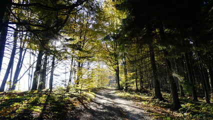 White carpathians moravia