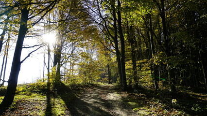 White carpathians moravia
