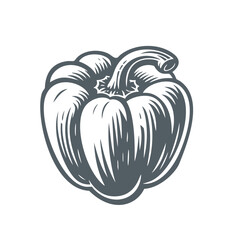 Paprika. Woodcut engraving style vector illustration.