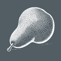 Fototapeta premium Hand drawn Pear Illustration. Block stamp stipple engraving style vector illustration on dark background.