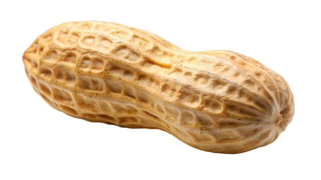 sut of peanut isolated on on transparent background png