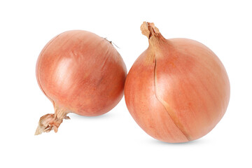 Fresh onions isolated on white. Vegetable root