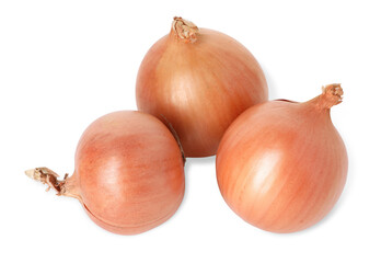 Fresh onions isolated on white, above view. Vegetable root