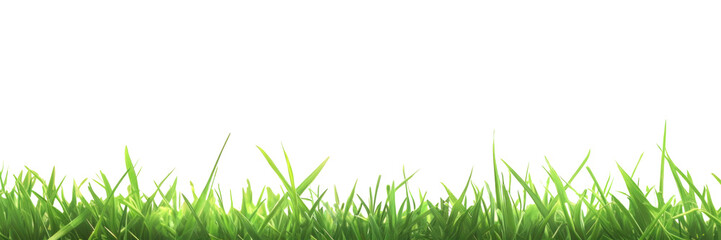 Fototapeta premium PNG Green grass sunlight outdoors vibrant.