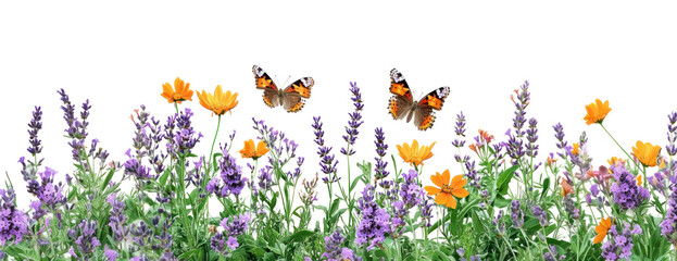 PNG Butterfly Attracting Garden butterflies butterfly lavender.