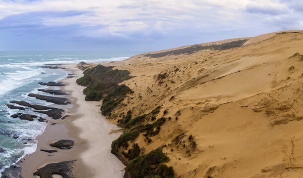 Coastal sand dunes meet the ocean. Waves crash on the shore, erosion shaping the landscape. Dramatic coastal scenery. Opononi, Hokianga Harbour, Northland, NZ