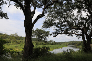 Orpen Dam - Krüger Park - Südafrika / Orpen Dam - Kruger Park - South Africa /