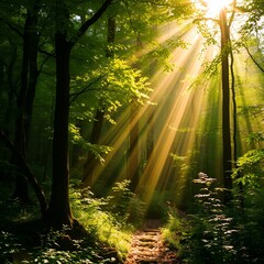 Naklejka premium The enchanting forest floor is covered in ethereal patterns of luminescence as golden rays cascade over the lush woodland's tapestry.