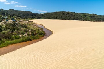 Vast, golden sand dunes with a winding stream. Nature's artistry. Beautiful landscape. Te Paki Giant Sand Dunes, Cape Reinga, Northland, NZ © Zenstratus