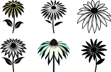 coneflower silhouette vector illustration
