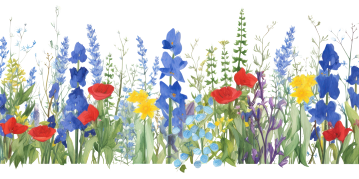 PNG Blue flower garden outdoors blossom nature.