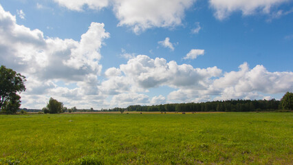 Countryside Frombork
