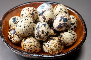 Fototapeta premium Fresh small spotted partridge or quail bird eggs uncooked