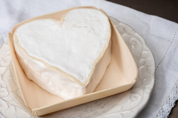 Cheese collection, French cheese from Normandy region, heart-shaped neufchatel from farm shop close up