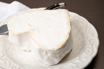 Cheese collection, French cheese from Normandy region, heart-shaped neufchatel from farm shop close up