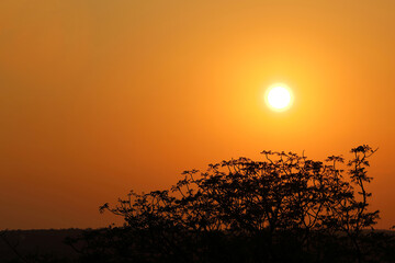Sonnenuntergang - Krüger Park - Südafrika / Sundown - Kruger Park - South Africa /