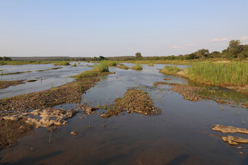 Krüger Park - Afrikanischer Busch - Olifants River/ Kruger Park - African bush - Olifants River/