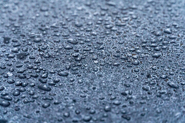 Small water droplets rest on a textured surface, reflecting light in a peaceful outdoor area after rainfall. The surroundings appear calm and fresh