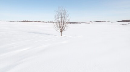Obraz premium Solitary tree in a vast snowy field