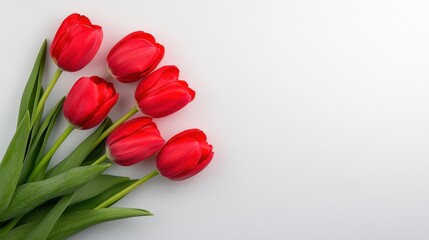 A bouquet of red tulips is arranged in a row on a white background. The flowers are the main focus of the image, and they create a sense of warmth and beauty. The white background provides a clean